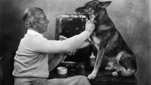 Rin Tin Tin