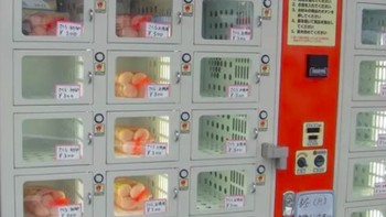 Praktis membeli telur di vending machine ini. Lokasinya di Jepang yang memang ada banyak sekali vending machine. Foto: istimewa