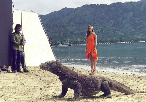 Gaining new friends and unforgettable experiences. I was so fortunate to experience these wonderful creatures in their natural habitat and to learn more about them. Begitu tulisan Demi-Leigh (demileighnp/Instagram) Gaining new friends and unforgettable experiences. I was so fortunate to experience these wonderful creatures in their natural habitat and to learn more about them. Begitu tulisan Demi-Leigh (demileighnp/Instagram)