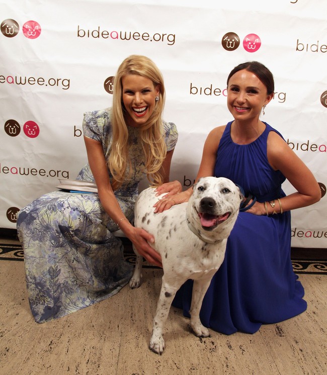 Lulusan New York University ini juga rutin jadi pekerja untuk Human Society, perusahaan NGO yang mendukung adopsi hewan-hewan terlantar. Foto: Getty Images