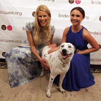 Lulusan New York University ini juga rutin jadi pekerja untuk Human Society, perusahaan NGO yang mendukung adopsi hewan-hewan terlantar. Foto: Getty Images