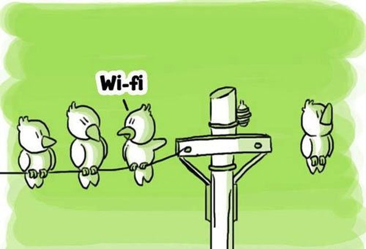 Meme Kocak Gadget Meme Kocak Gadget