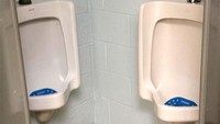 Urinal terdapat di sudut toilet dan saling berdekatan. Istimewa/Boredpanda.