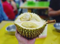 Tingginya Permintaan Durian dari China, Lingkungan Malaysia Terancam Rusak