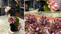 Nggak kebayangkan kalau bunga lotus ini ternyata terbuat dari coklat? Keren! Foto: Instagram @amauryguichon