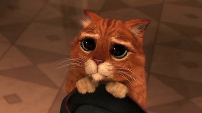 Piala Nyasar Justin Bieber dan Meme Lucu Sindiran untuk Grammy