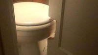 Akibat kurang akurat, pintu toilet ini dipotong sebagiannya agar bisa terbuka lebih lebar. Istimewa/Boredpanda.