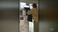 Ular tersebut terlihat di jendela salah satu ruangan kelas di Eumundi State School,di Noosa, sekitar 147 dari ibukota Queensland, Brisbane, hari Selasa (30/01). (Foto: Screenshot video ABC News)
