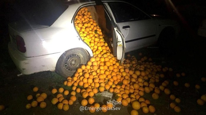 Mobil Berisi  4 Ton Jeruk Disetop Polisi, Ternyata Hasil Curian