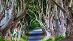 Foto: Jalanan Seram Tempat Syuting Game of Thrones