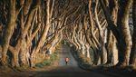 Foto: Jalanan Seram Tempat Syuting Game of Thrones