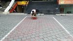 Foto: Suasana Tenang Kuta di Pagi Hari