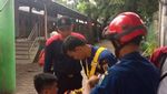 Foto: Aksi Damkar Selamatkan Kucing dari Pohon 5 Meter di Sudirman