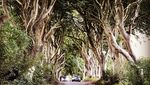 Foto: Jalanan Seram Tempat Syuting Game of Thrones