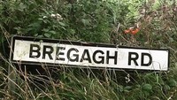 Bregagh Road terletak di Ballymoney, Irlandia Utara. Ada bagian yang mirip terowongan kecil bernama The Dark Hadges, yang terdiri dari ratusan pohon beech (seleserowetravelbroker/Instagram)