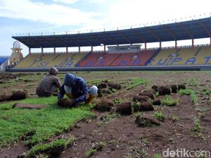 Sambut Asian Games, Rumput Stadion Si Jalak Harupat Dibongkar