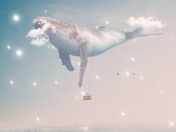 Foto Manipulasi Photoshop Keren Karya Anak Negeri