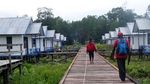 Apa Sih yang Sudah Dilakukan Jokowi untuk Asmat?