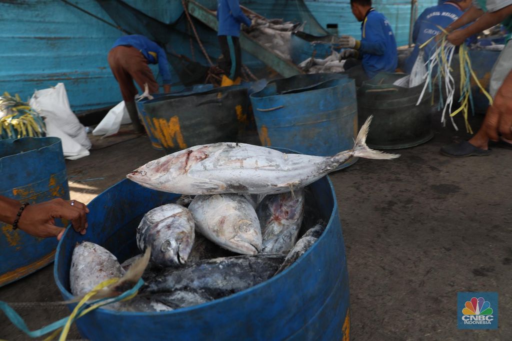 Ikan Cakalang hasil tangkapan nelayan dibongkar dari kapal di Pelabuhan Perikanan Samudra Nizam Zachman, Muara Baru Jakarta, Kamis (1/2/2018). Ditahun 2018 KKP menargetkan nilai ekspor perikanan Indonesia capai USD5,4 miliar. (CNBC Indonesia/Muhammad Sabki)