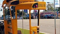 Nah kalau yang satu ini, haltenya seperti bus sekolah. Halte bis ini ada di Georgia. Sepertinya seru banget ya kalau foto- foto disana. Istimewa/Rediff