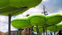 Nah kalau yang ini halte Bus di Salinas, Puerto Riko. Halte bus berwarna ini katanya, merupakan tempat yang menarik bagi wisatawan. Istimewa/Rediff.