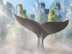 Foto Manipulasi Photoshop Keren Karya Anak Negeri