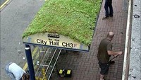 Halte bus unik dengan atap hijau ini ada di di Sheffield, South Yorkshire, Inggris. Istimewa/Rediff