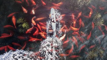 Dalam kesempatan ini Risfan memberikan sejumlah tips bagi mereka yang ingin mencoba membuta foto manipulasi. Foto: Risfan Fardiansyah