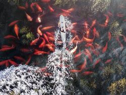 Foto Manipulasi Photoshop Keren Karya Anak Negeri