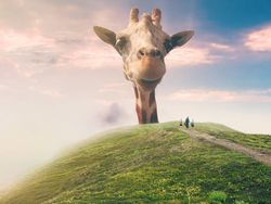 Foto Manipulasi Photoshop Keren Karya Anak Negeri