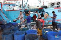 Petani Rumput Laut RI Gugat Perusahaan Thailand, Kenapa?