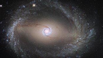 Berada di konstelasi Horologium, sekitar 38 juta cahaya dari Bumi, NGC 1512 diperkirakan memiliki ukuran yang sama besar dengan galaksi Bima Sakti. Foto: NASA