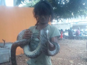 Nasib Malang Pelukis Jalanan Tewas Dillit Ular Sanca Peliharaan