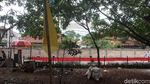 Foto: Bendera Kuning di Lokasi Pelukis Dwi Setiawan Dililit Sanca