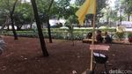 Taman di Menteng yang Jadi Saksi Bisu Pelukis Tewas Dililit Ular