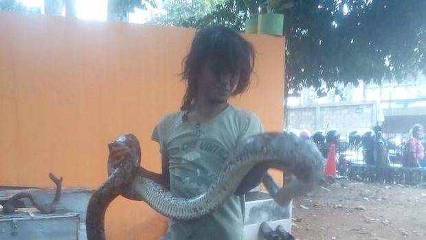 Nasib Malang Pelukis Jalanan Tewas Dillit Ular Sanca Peliharaan