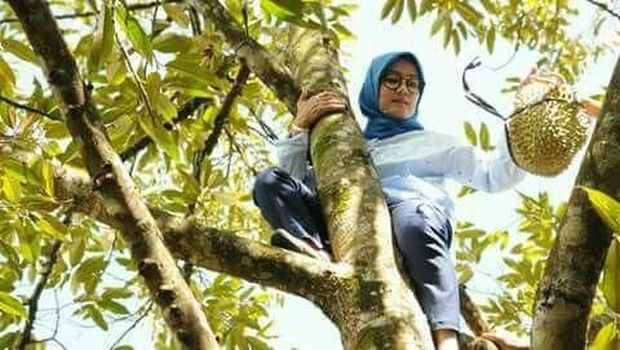 Viral Aksi Bupati Lebak Iti Octavia Panjat Pohon Durian
