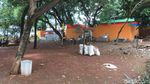 Taman di Menteng yang Jadi Saksi Bisu Pelukis Tewas Dililit Ular