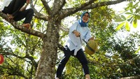 “Saya spontan naik, pakai sepatu sayanya juga. Pas ngelihat ada duren mateng, kan pada gelantungan durennya ditaliin sama rapia,” kata Iti.