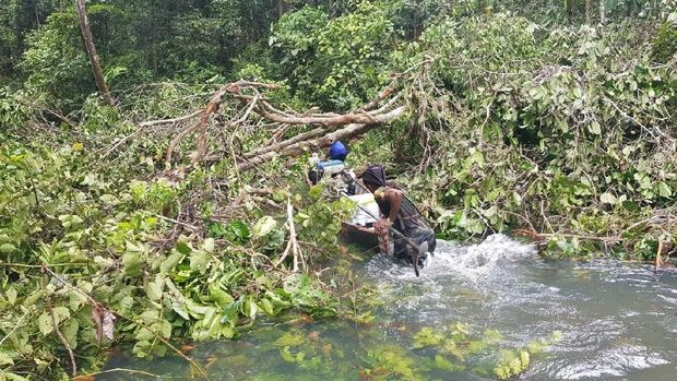 Tahukah Anda Medan Menuju Asmat? Begini Ganasnya