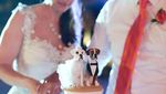 So Sweet! Ada Sosok Anjing Kesayangan di Cake Pernikahan Pasangan Ini