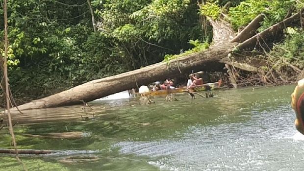 Tahukah Anda Medan Menuju Asmat? Begini Ganasnya
