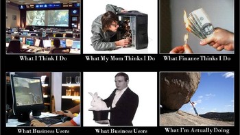 Menjabat sebagai IT Leaders. Foto: internet