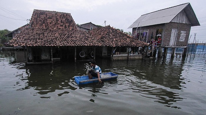 BANJIR ROB SEMARANG DEMAK, INDONESIA – 2 FEBRUARI: Warga menggunakan perahu buatan untuk beraktivitas karena banjir luapan air laut menggenangi di Dusun Nyangkringan, Desa Sriwulan, Sayung, Demak, Jawa Tengah pada 2 Februari 2018. Berdasarkan data Dinas Kelautan dan Perikanan setempat, tingginya gelombang abrasi pantai yang dipicu semakin berkurangnya kawasan mangrove telah menerjang pesisir Semarang dan mengikis daratan hingga 1,4 kilometer selama kurun waktu 20 tahun terakhir. Perubahan iklim juga menyebabkan permukaan air laut naik setinggi 4mm per tahun karena es di kutub mencair menyebabkan lautan memanas dan meluas.
( Eko Siswono Toyudho - Anadolu Agency )
