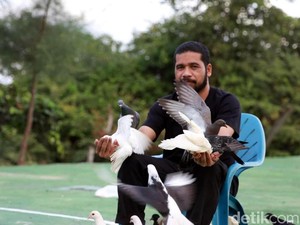 Bahagia di Aceh Itu Sederhana: Dihibur Ratusan Ekor Burung Dara