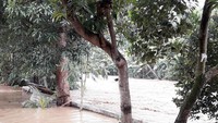 Dalam beberapa jam, air kiriman diprediksi akan tiba di Pintu Air Manggarai, Jakarta. Beberapa lokasi di Jakarta yang berada di bantaran sungai diperkirakan akan terdampak banjir, seperti di Srengseng Sawah, Rawajati, Kalibata, Pengadegan, Pejaten Timur, Kebon Baru, Bukit Duri, Balekambang, Cililitan, Bidara Cina, dan Kampung Melayu. (Foto: Triono Wahyu Sudibyo/detikcom)