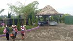 Foto: Tempat Kekinian dan Instagramable di Jambi