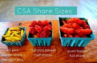 Wow! Kini Warga Amerika Bisa Beli 18 Jenis Cabe Terpedas di Dunia Langsung dari Petani