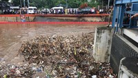 Tumpukan sampah kayu terlihat di pintu air Manggarai. (Indra Komara-detikcom)