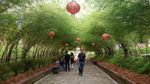 Foto: Tempat Kekinian dan Instagramable di Jambi